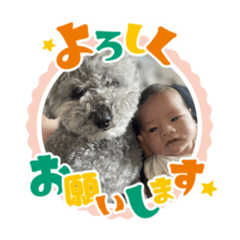 Ayame_20250719134724