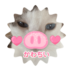 HINATA_20250719105643