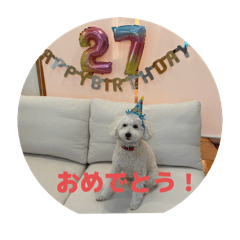 Tomo_20250719194759