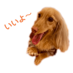 Ryo_20250719154441
