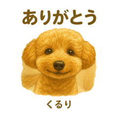 ayu_20250719212352