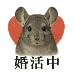 【婚活】恋するチンチラのリアルなライン
