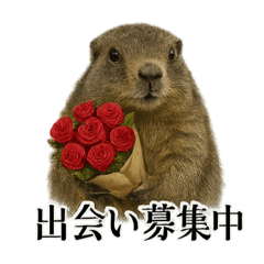 【婚活】恋するマーモットのリアルなライン