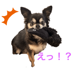 chiro_20250719205057