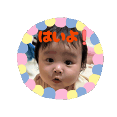 shiho_20250719142357