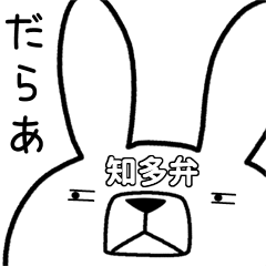 Dialect rabbit [chita]