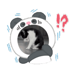 百變Mimi@
