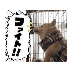 hiro_20250720133158