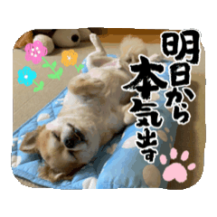 ayaka_20250720134442