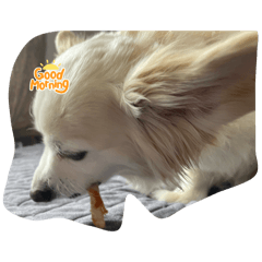 Hinana7_20250718173424