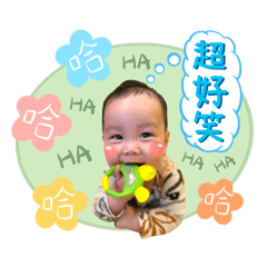 開心果の日常用語