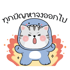 แมวอ้วนน่ารัก : แมวชุดฉลาม