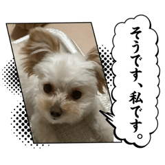 riku_20250719173359