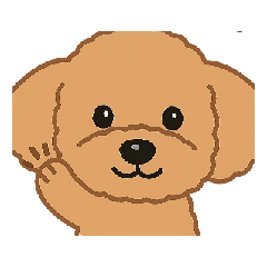 yuka_20250720151056