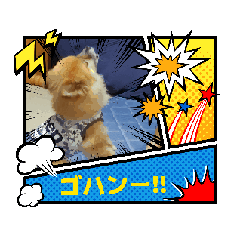 yuki_20250720153455