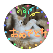 Cherikun part2