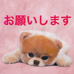 A cute dog series 02