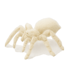 Tarantula Squad Realistic Spider Sticker