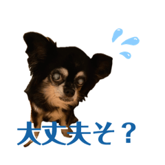 piano_20250719121120