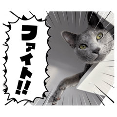 hide_20250719214656