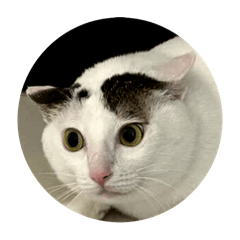 氣chi 敗壞
