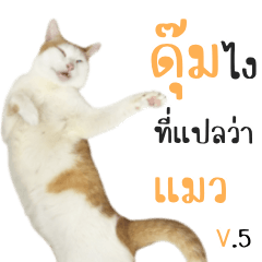 i dum cat v.5