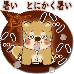 柴犬さん 2025「とにかく暑い！」