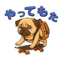 hide_20250718002847