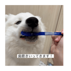 choco_20250720002408