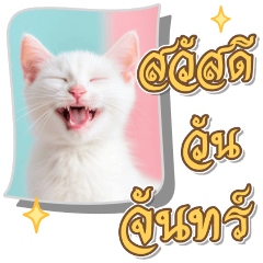 Cute Cat Gang  : Happy Monday greetings