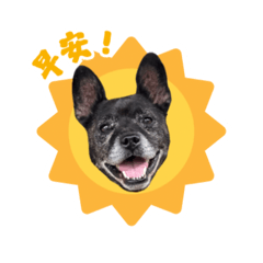 周皮皮的日常語錄