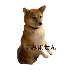 yuyu_20250719092429