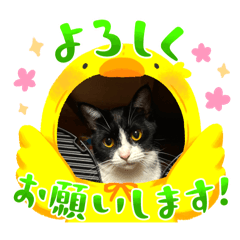 KAORU_20250720032534