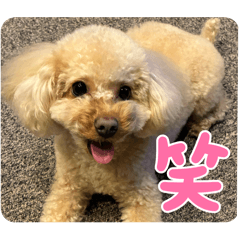 ruru0729