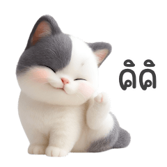 Cute Big-Eyed Bicolor Cat