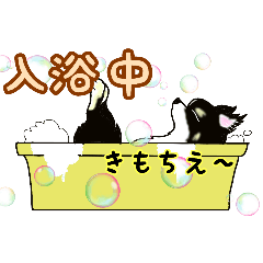 shige_20250720104225