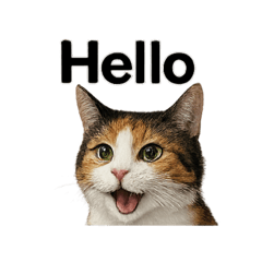 POTATO_20250718012744