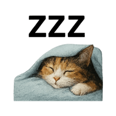 POTATO_20250718013122