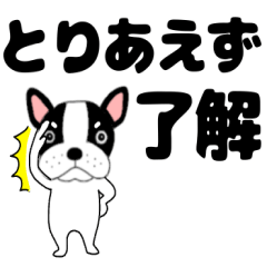 French bulldog buruchan47