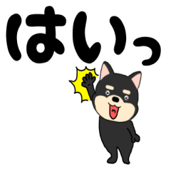 Dog Shiba Inu sibakiti22