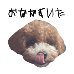 hinata_20250718130912