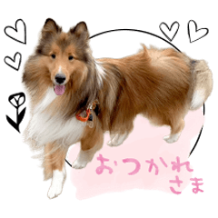 Toranosuke's Sticker@ringonohoppe