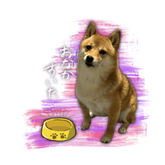 Ayane_20250718160431