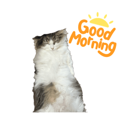 ノエルとうに PART2