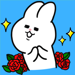 A charming little rabbit4
