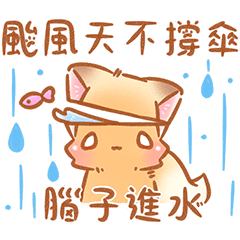 壞壞小狐狸惹人愛(≧◡≦)♡