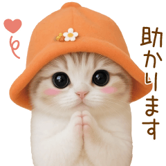スコティッシュ猫 可愛いみかんハット 敬語
