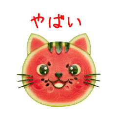 Cat fruit delivers summer's message.