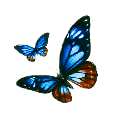 akane_20250718212101