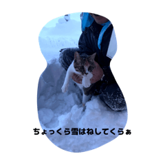 umi_20250718222220